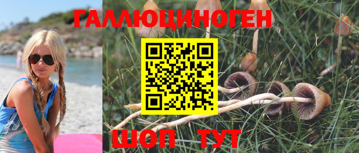 Галлюциногенные грибы Cubensis Астрахань